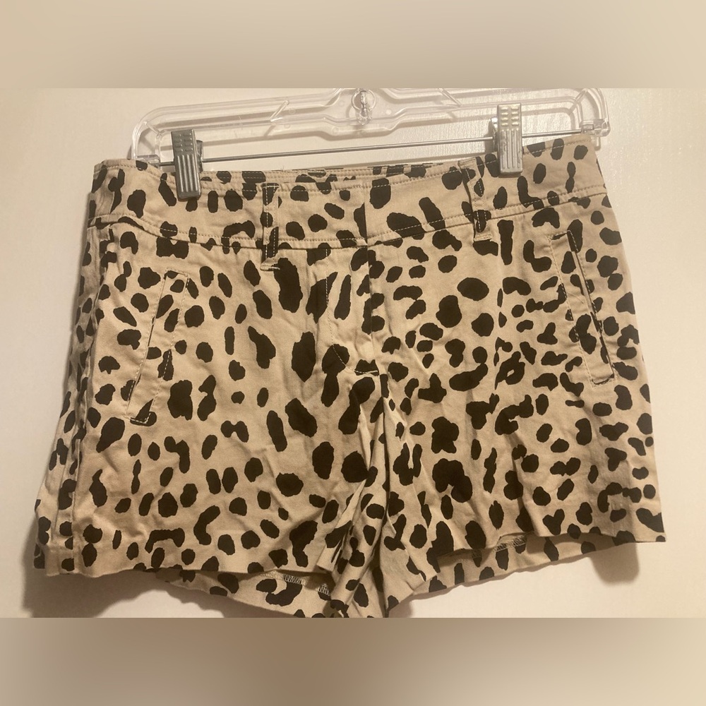 Cach’e Leopard Print Women's Shorts